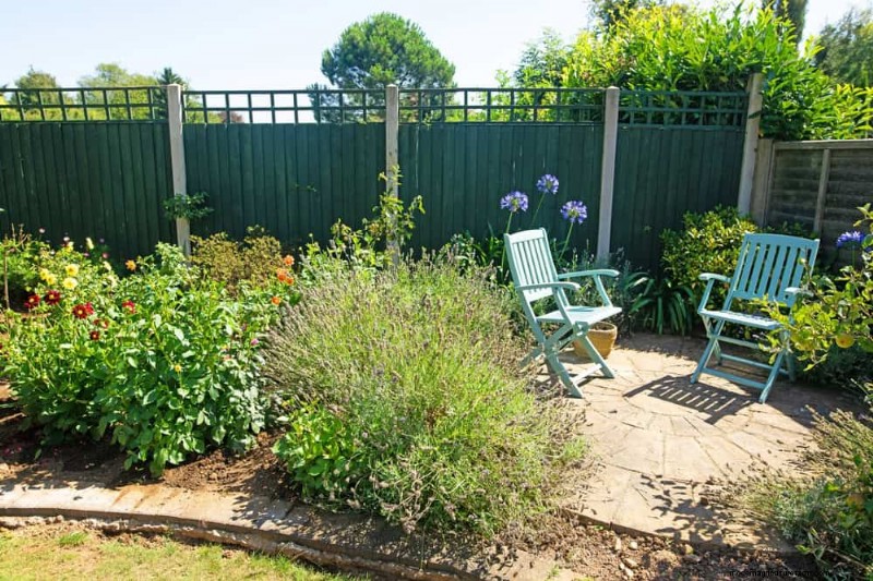 28 Low‑Maintenance Plants for a Beautiful, Hassle‑Free Garden