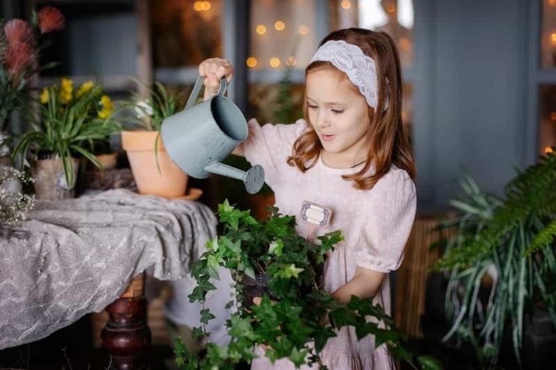 12 Proven Ways to Keep Your Trailing Houseplants Full, Bushy, and Leggy‑Free