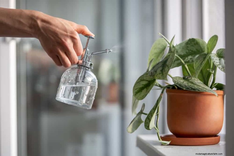12 Proven Ways to Keep Your Trailing Houseplants Full, Bushy, and Leggy‑Free