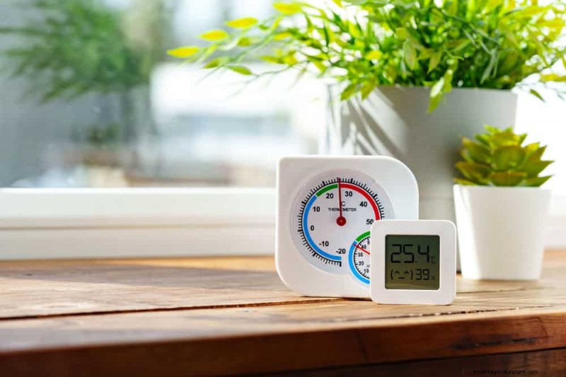 12 Proven Ways to Keep Your Trailing Houseplants Full, Bushy, and Leggy‑Free