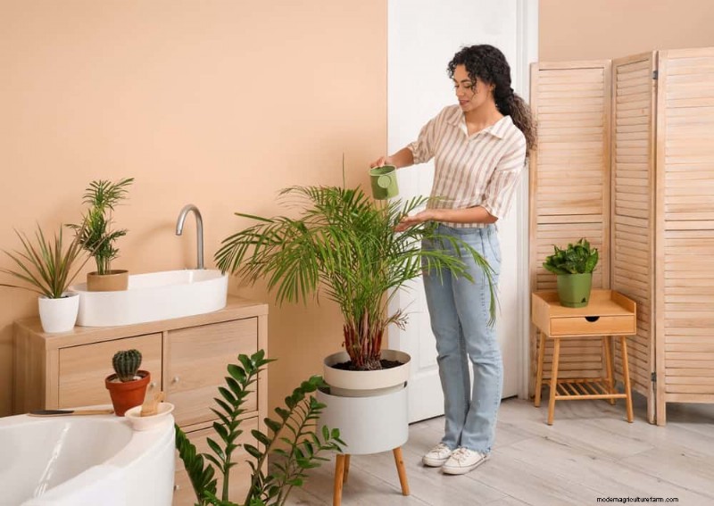 11 Proven Strategies to Keep Indoor Palms Lush and Healthy Year‑Round