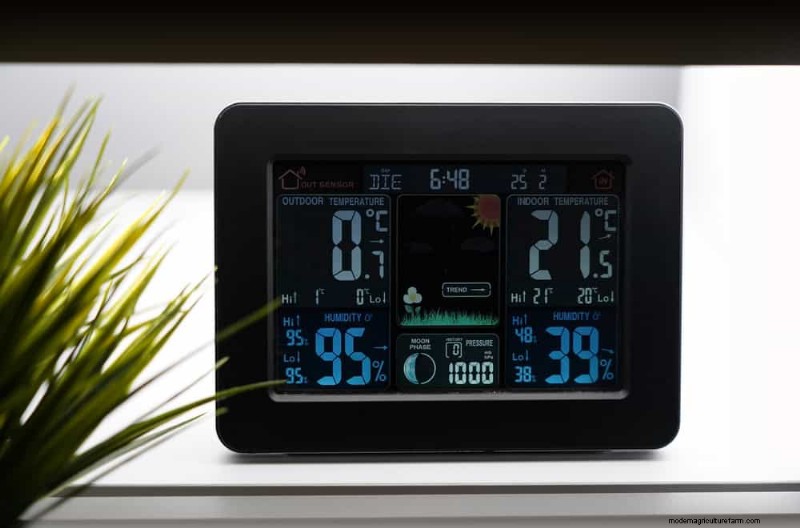 Expert Guide: 11 Proven Strategies to Protect Plants from Winter Shock