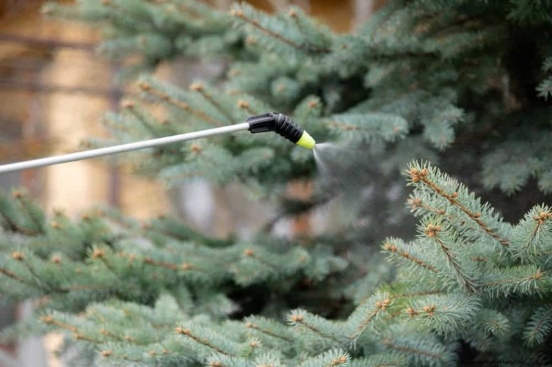 Expert Guide: 11 Proven Strategies to Protect Plants from Winter Shock