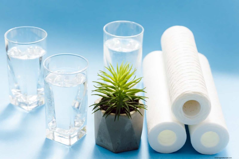 Eliminate Brown Tips on Your Spider Plant: 13 Proven Care Tips