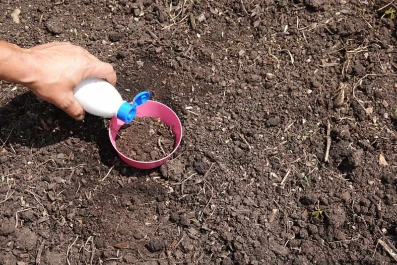 12 Expert‑Backed Tactics for Eradicating Winter Fungus Gnats