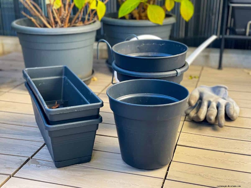 12 Expert‑Backed Tactics for Eradicating Winter Fungus Gnats