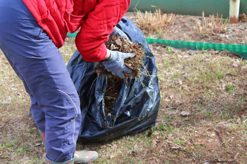 12 Expert‑Backed Tactics for Eradicating Winter Fungus Gnats