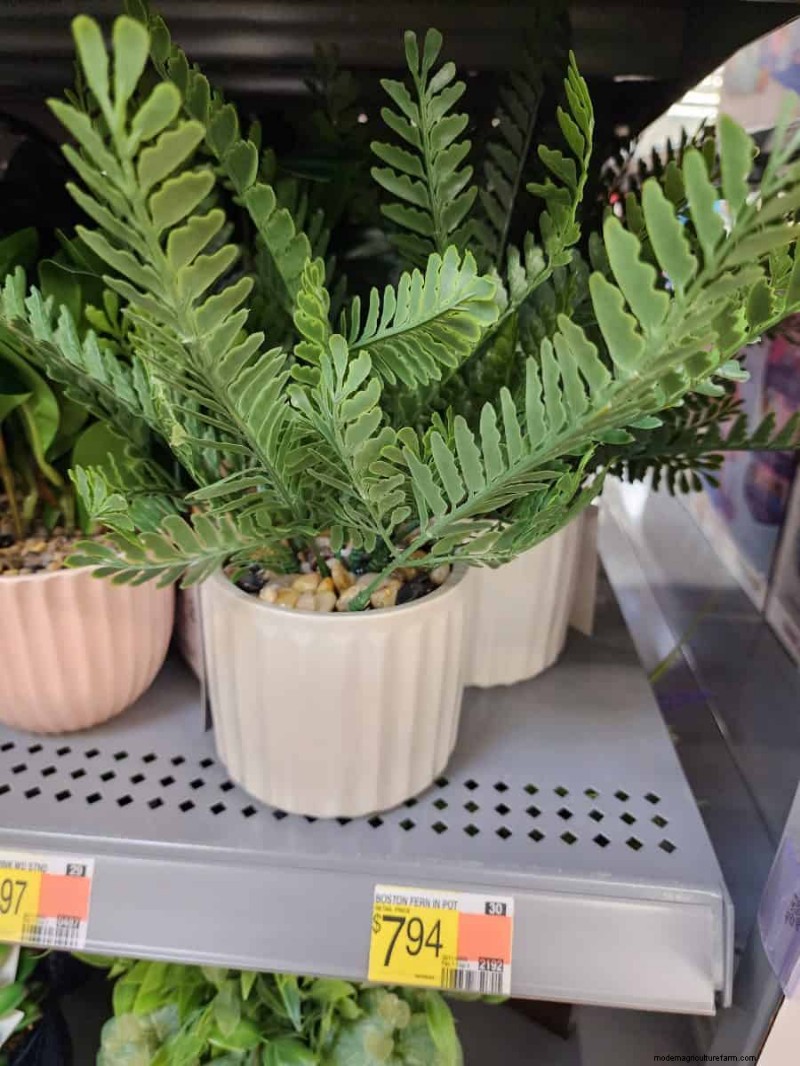Under $15 Faux Plants at Walmart: Stylish, Low‑Maintenance Picks