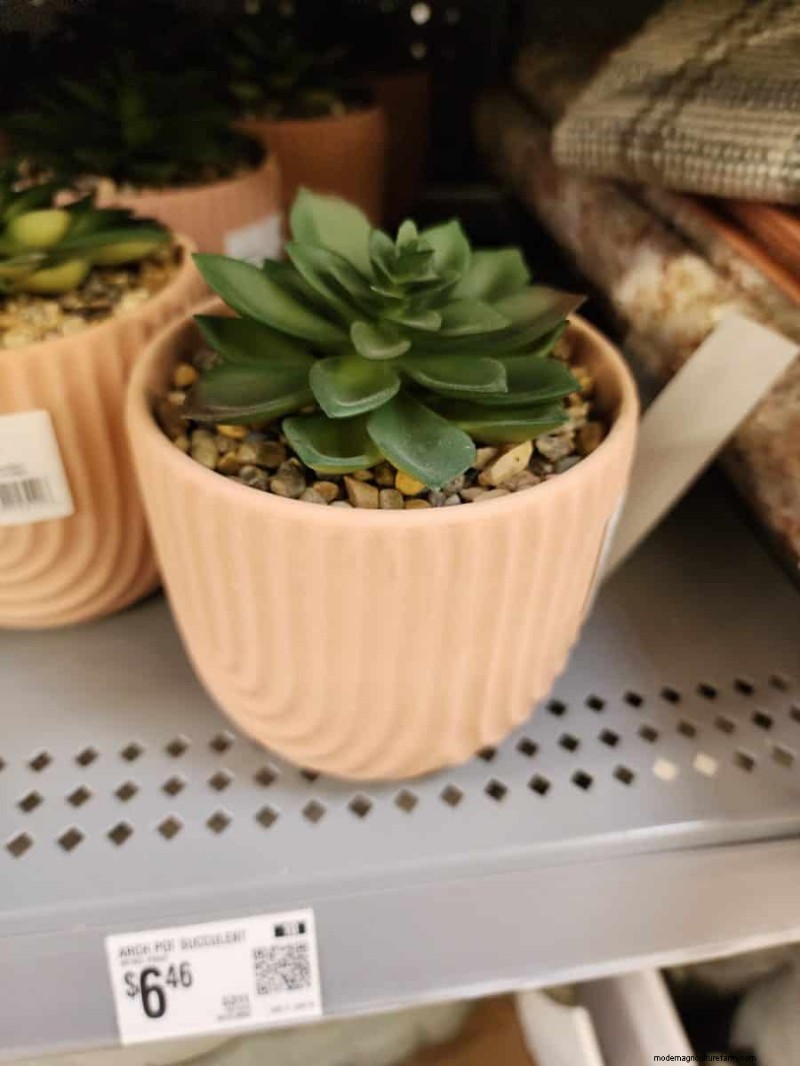Under $15 Faux Plants at Walmart: Stylish, Low‑Maintenance Picks