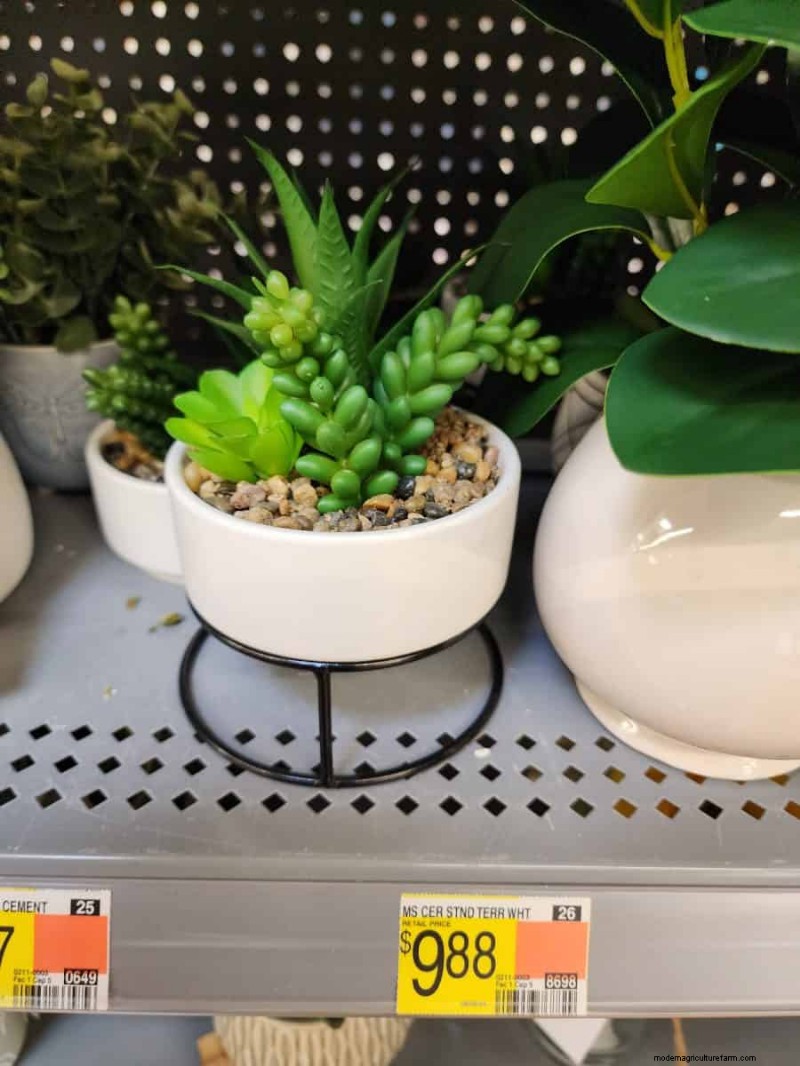 Under $15 Faux Plants at Walmart: Stylish, Low‑Maintenance Picks