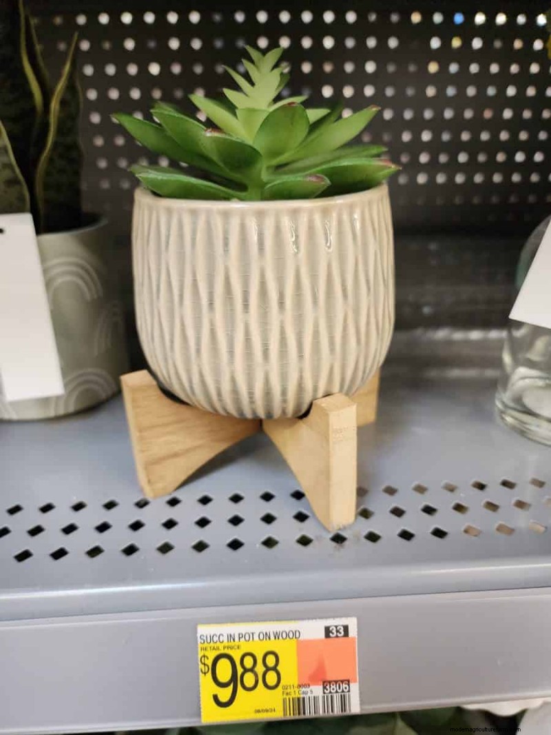 Under $15 Faux Plants at Walmart: Stylish, Low‑Maintenance Picks