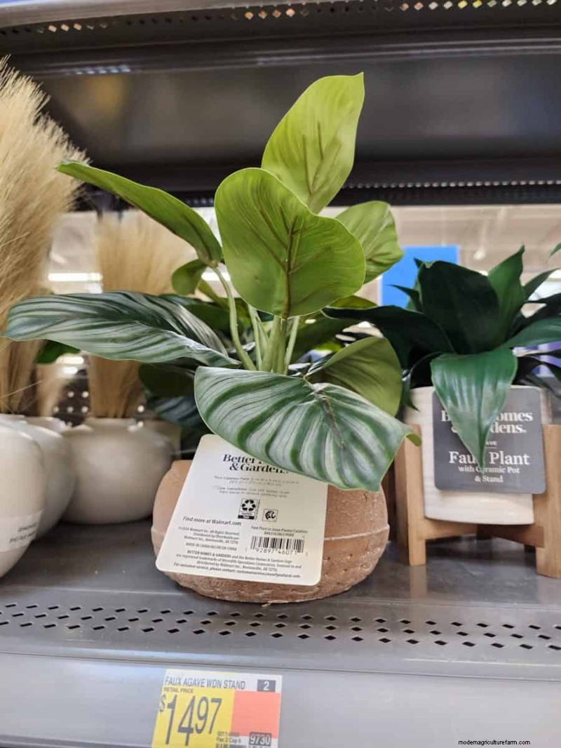 Under $15 Faux Plants at Walmart: Stylish, Low‑Maintenance Picks