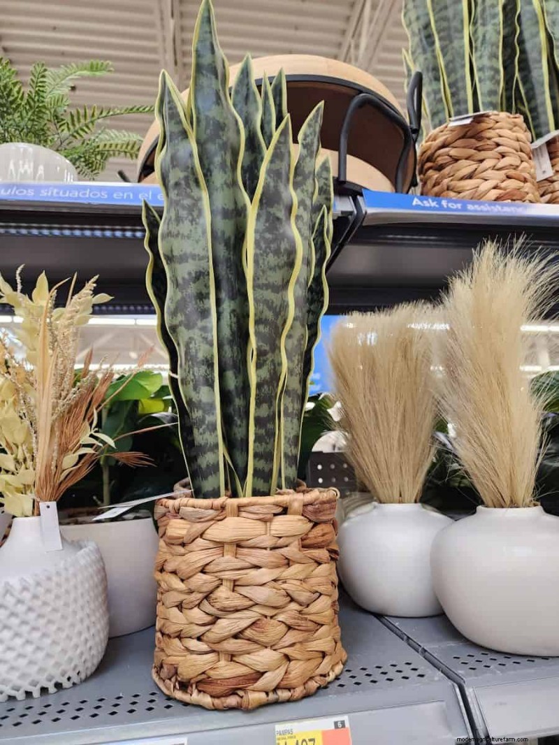 Under $15 Faux Plants at Walmart: Stylish, Low‑Maintenance Picks
