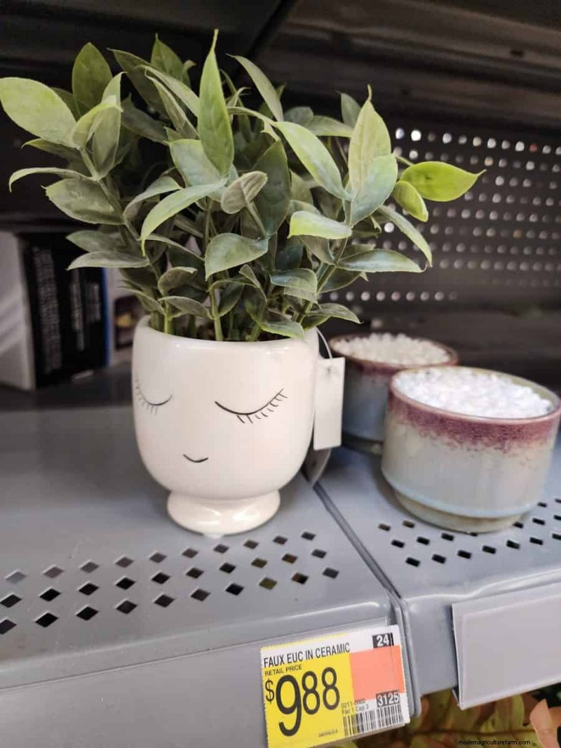 Under $15 Faux Plants at Walmart: Stylish, Low‑Maintenance Picks