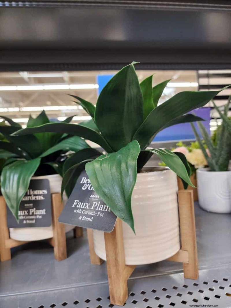 Under $15 Faux Plants at Walmart: Stylish, Low‑Maintenance Picks