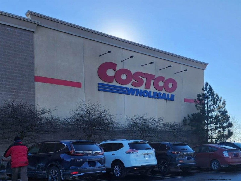 Costco’s 2026 Winter Plant Collection: 10 Must‑Have Finds