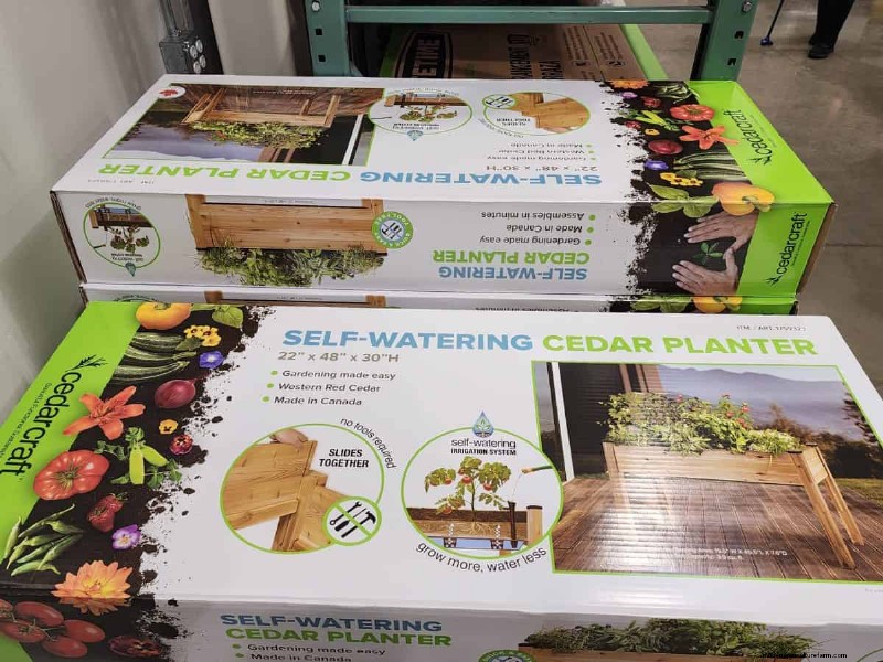 Costco’s 2026 Winter Plant Collection: 10 Must‑Have Finds