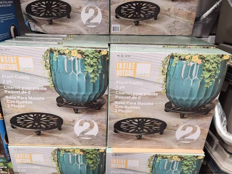 Costco’s 2026 Winter Plant Collection: 10 Must‑Have Finds