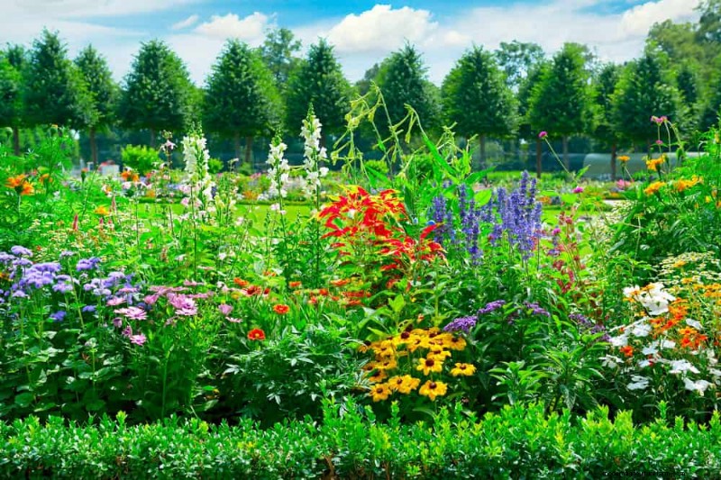 21 Warm-Toned Plants to Plan Your Dream Spring Garden (Landscaper-Approved)