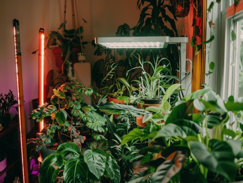 14 Expert‑Backed Ways to Maximize Grow Light Strips for Indoor Gardening
