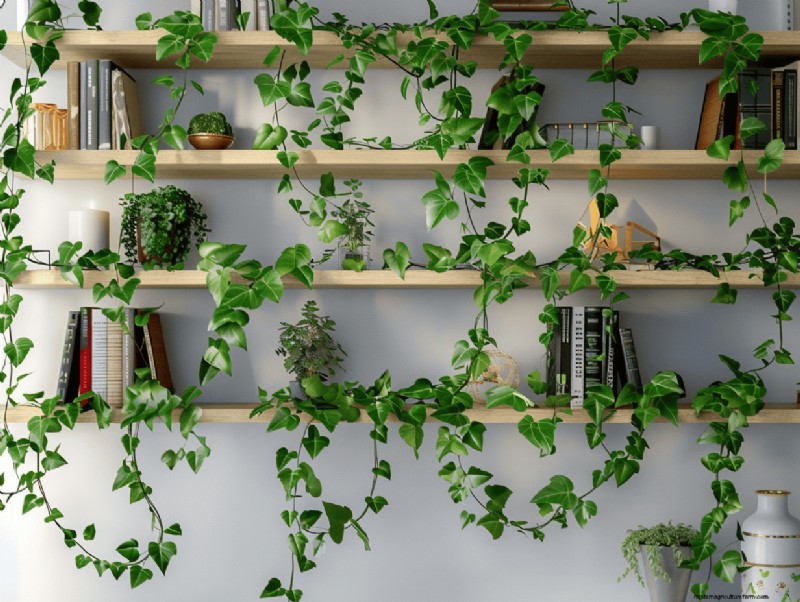 13 Expert Strategies to Turn Your Shelves into Stunning Plant Displays