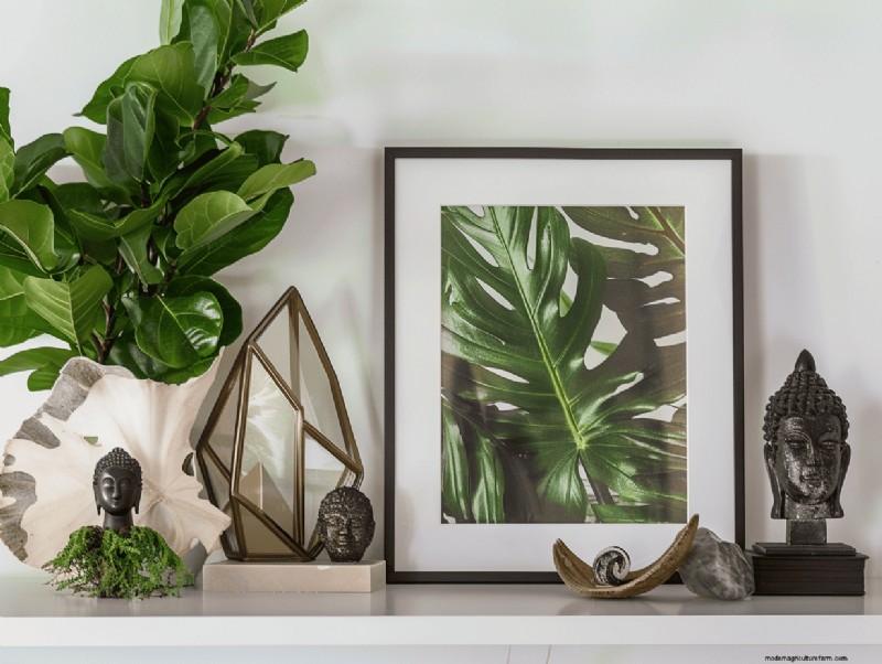 13 Expert Strategies to Turn Your Shelves into Stunning Plant Displays