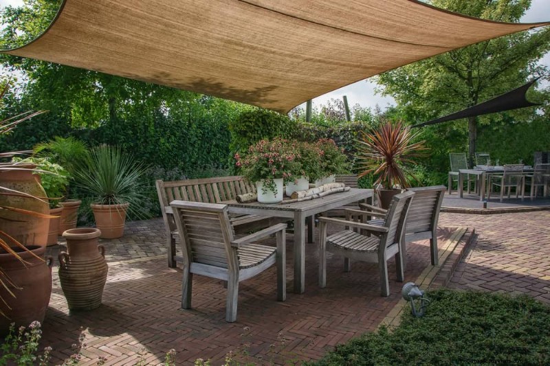 7 Expert‑Backed Solutions to Keep Plants Thriving in Dry Heat