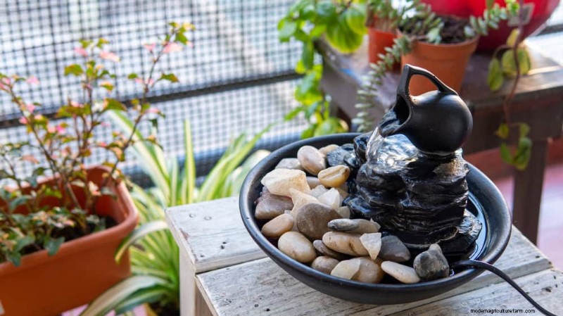 7 Expert‑Backed Solutions to Keep Plants Thriving in Dry Heat
