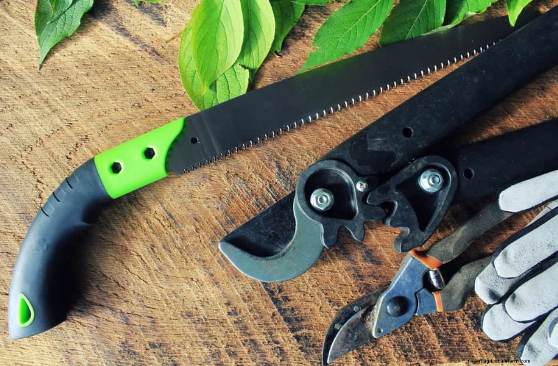 7 Expert‑Backed Solutions to Keep Plants Thriving in Dry Heat