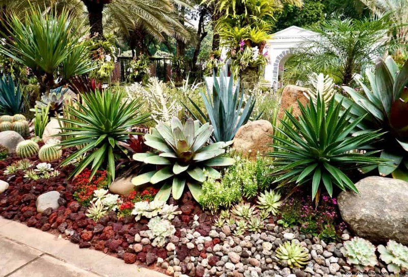 7 Expert‑Backed Solutions to Keep Plants Thriving in Dry Heat