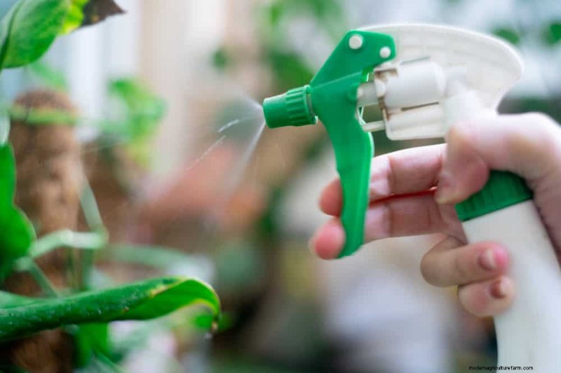 11 Proven Strategies to Keep Your New‑Year Gifted Plants Thriving All Year