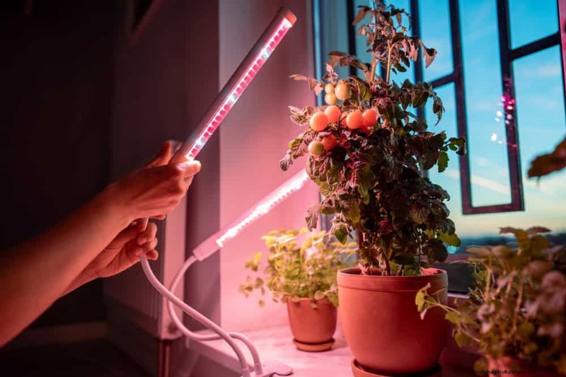 Master Indoor Gardening: 15 Proven Tips for Growing Plants Under Artificial Lights – Complete Setup Guide