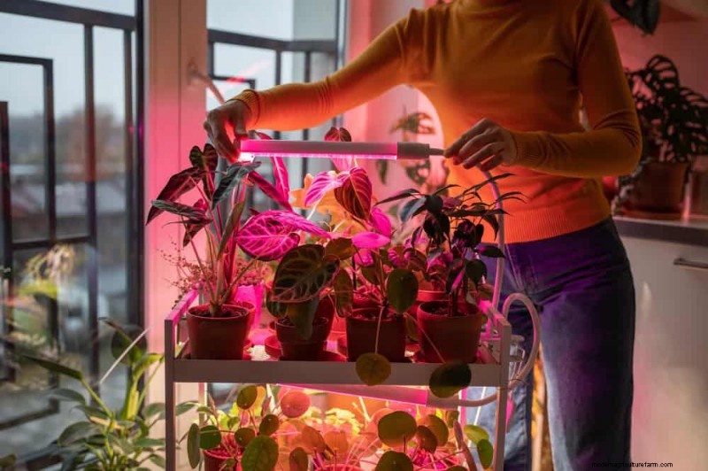 Master Indoor Gardening: 15 Proven Tips for Growing Plants Under Artificial Lights – Complete Setup Guide