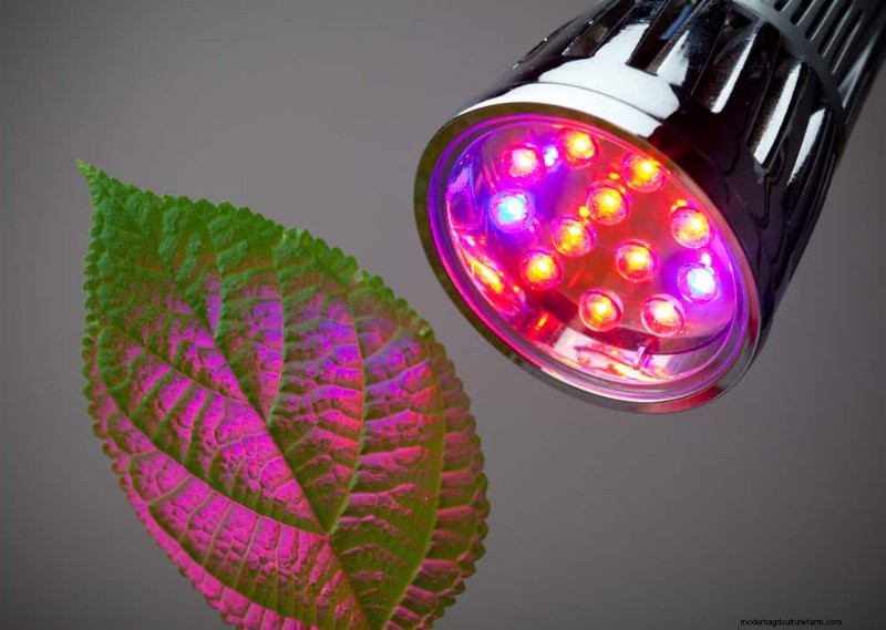 Master Indoor Gardening: 15 Proven Tips for Growing Plants Under Artificial Lights – Complete Setup Guide
