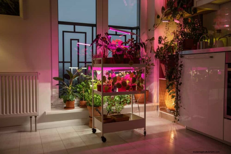 Master Indoor Gardening: 15 Proven Tips for Growing Plants Under Artificial Lights – Complete Setup Guide