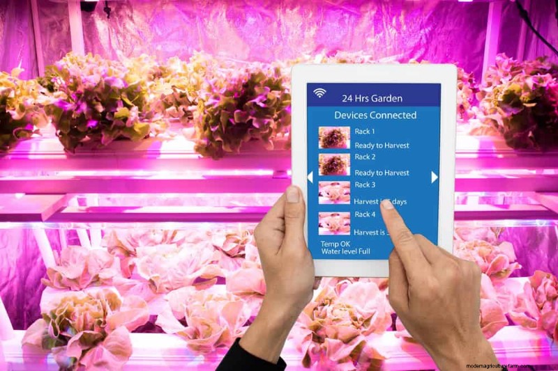 Master Indoor Gardening: 15 Proven Tips for Growing Plants Under Artificial Lights – Complete Setup Guide