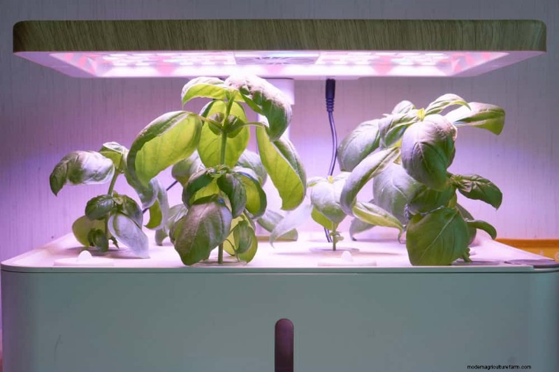 Master Indoor Gardening: 15 Proven Tips for Growing Plants Under Artificial Lights – Complete Setup Guide