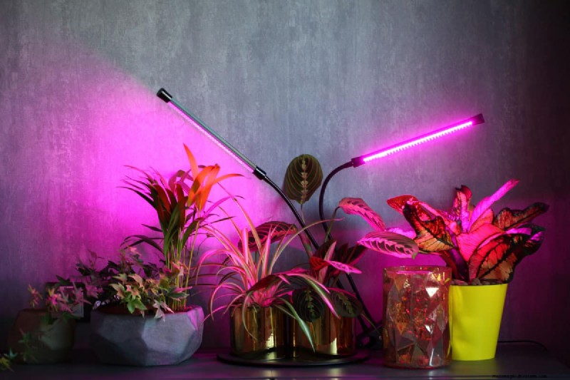 Master Indoor Gardening: 15 Proven Tips for Growing Plants Under Artificial Lights – Complete Setup Guide