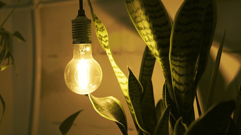 Master Indoor Gardening: 15 Proven Tips for Growing Plants Under Artificial Lights – Complete Setup Guide