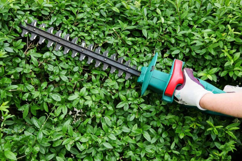 Why My Ryobi Trimmer Keeps Feeding Line – Quick Fixes & Troubleshooting Guide
