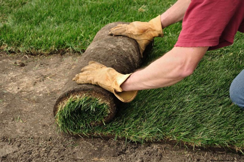 Lowe’s Sod Size Guide: How Much Lawn Do You Need?