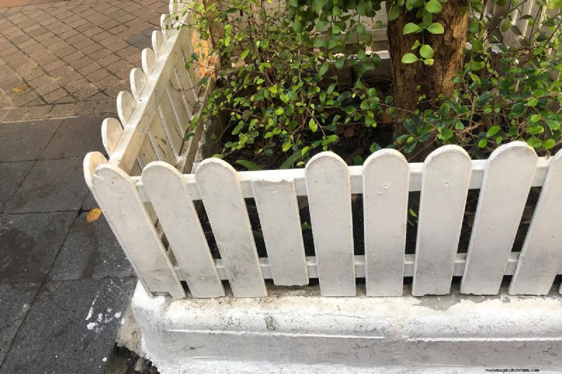 Expert Guide: Fencing Around Trees for Protection and Beauty