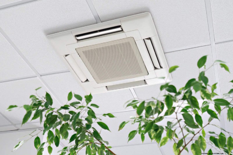 Does an Air Conditioner Harm Your Indoor Plants? Expert Tips to Keep Them Healthy