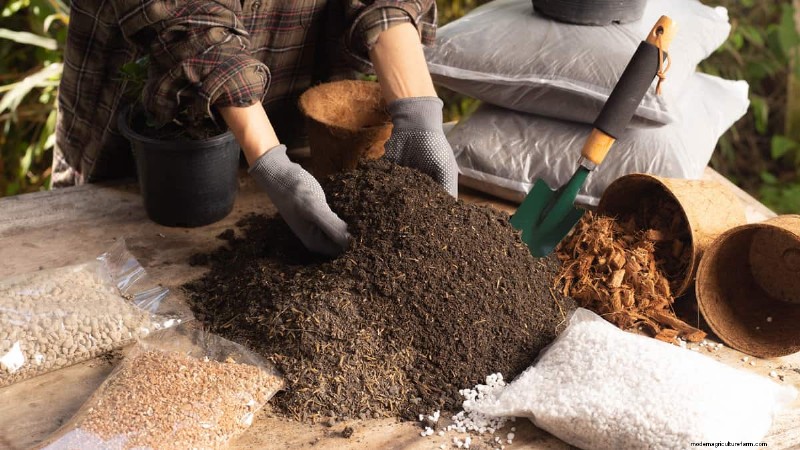 Is Soil Compaction Necessary When Planting? Expert Guidance for Gardeners