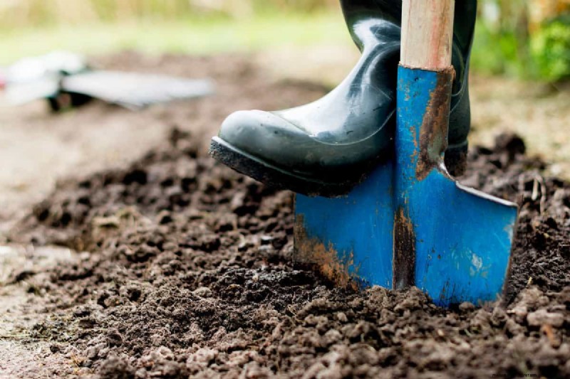 Hard Garden Soil? Diagnose Causes & Restore Soft, Healthy Soil Today