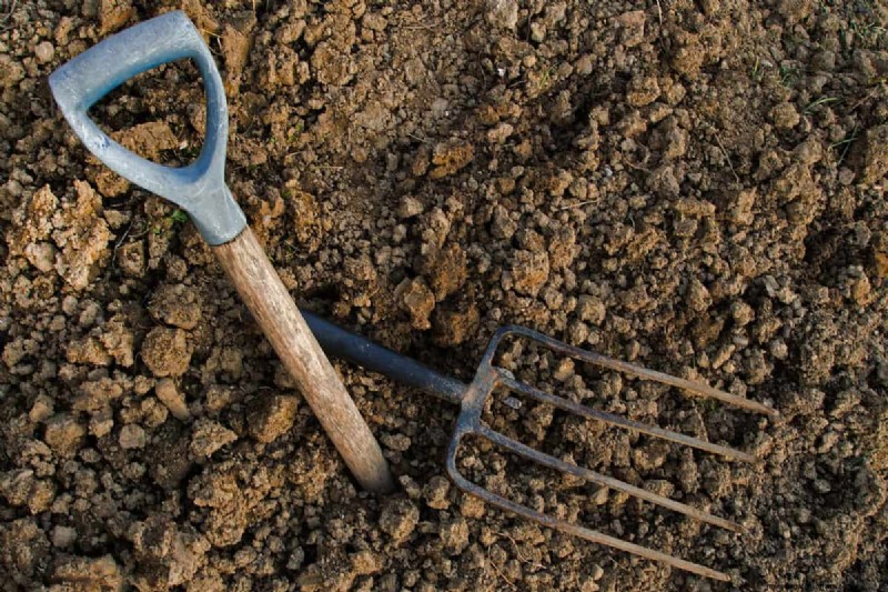 Hard Garden Soil? Diagnose Causes & Restore Soft, Healthy Soil Today