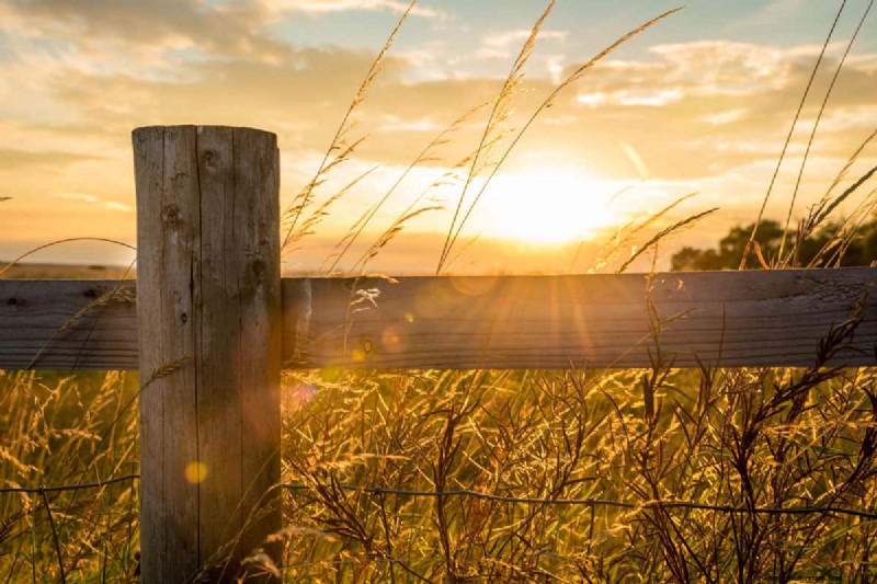 How Deep Should a 4‑Foot Fence Post Be? – Expert Guide