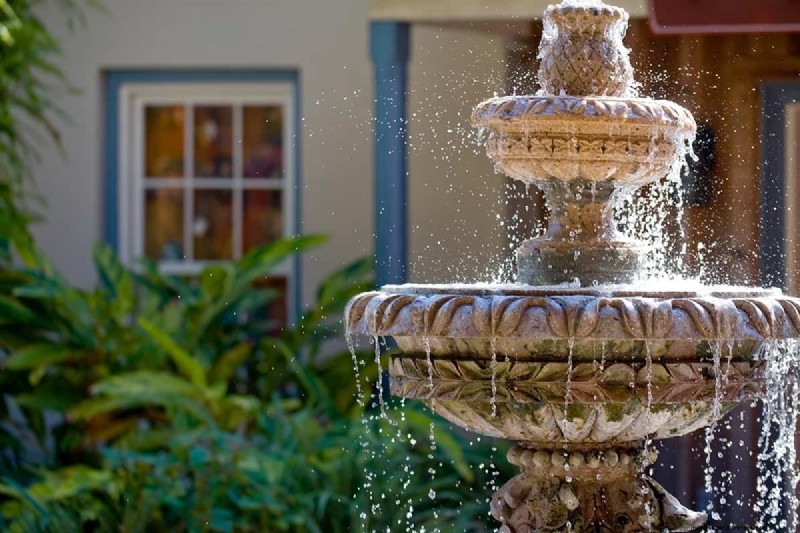 Garden Fountains and Mosquitoes: Must‑Know Facts for a Pest‑Free Landscape