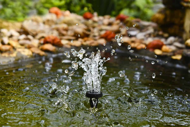Garden Fountains and Mosquitoes: Must‑Know Facts for a Pest‑Free Landscape