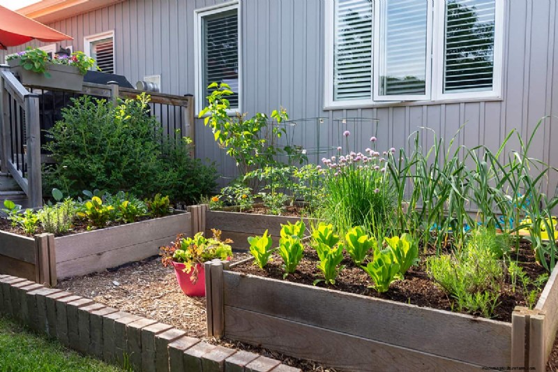 Should You Add Worms to Your Raised Garden Bed? A Practical Guide